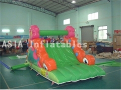 Inflatable Crazy Caterpillar Slide