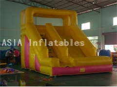 Kids Inflatable Slide