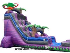 Crush Inflatable Water Slide Rental